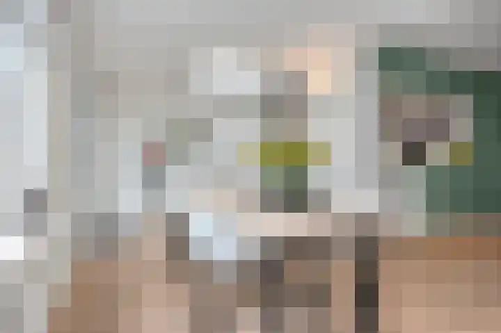 Hopperank 13 Brunssum thumbnail 12
