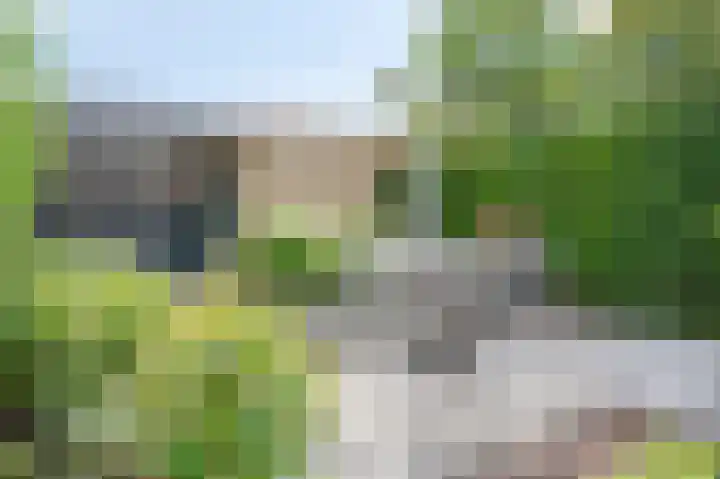 Hopperank 13 Brunssum thumbnail 33
