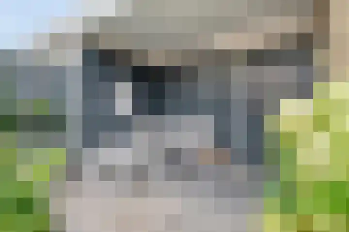 Hopperank 13 Brunssum thumbnail 34