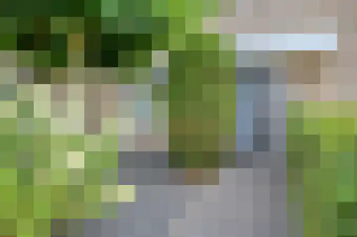 Hopperank 13 Brunssum thumbnail 4