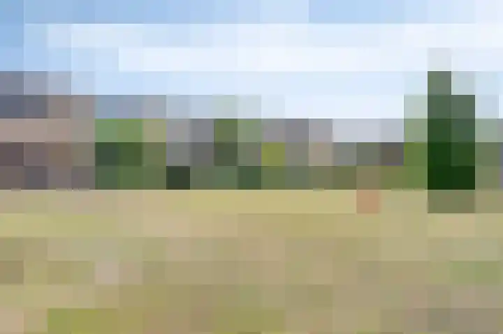 Hopperank 13 Brunssum thumbnail 40