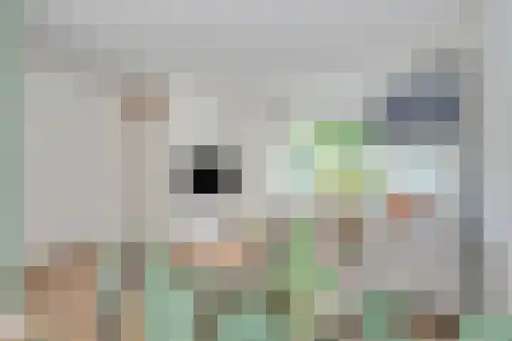 Hopperank 13 Brunssum thumbnail 6