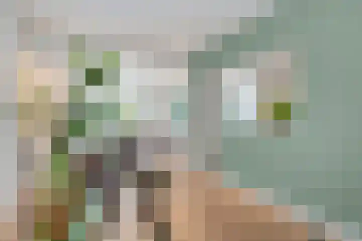 Hopperank 13 Brunssum thumbnail 9