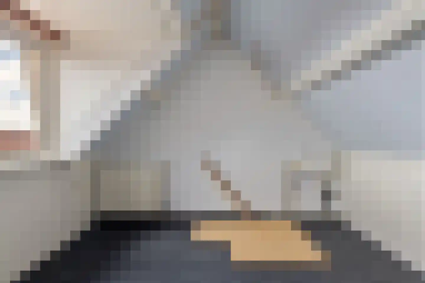Hopperstraat 5 Sneek thumbnail 39
