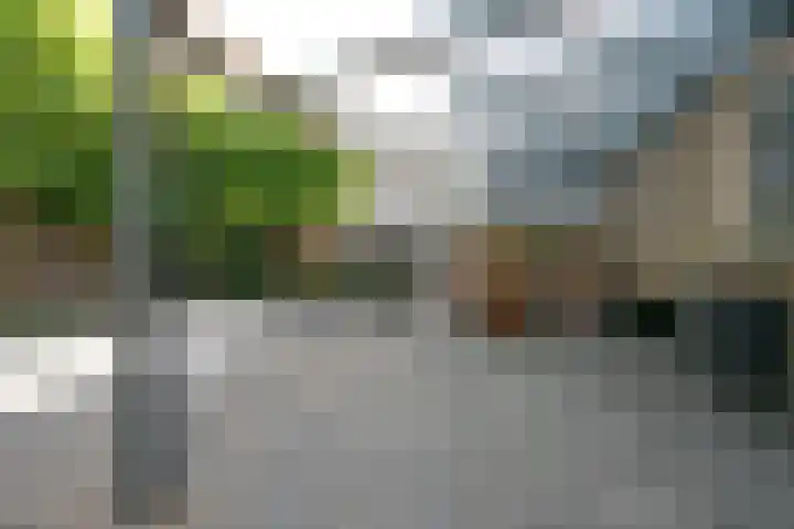Hoppertstraat 11 Stramproy thumbnail 12