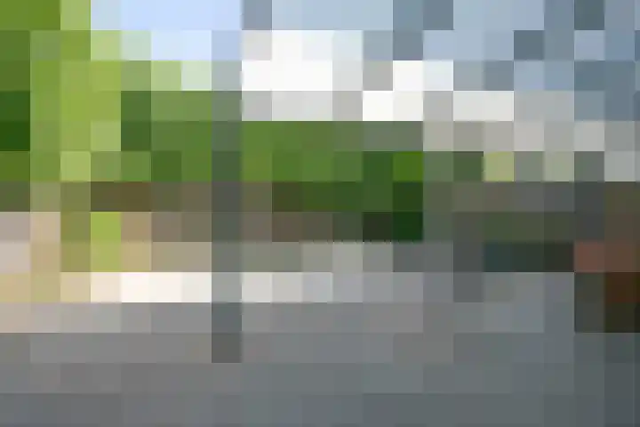 Hoppertstraat 11 Stramproy thumbnail 13