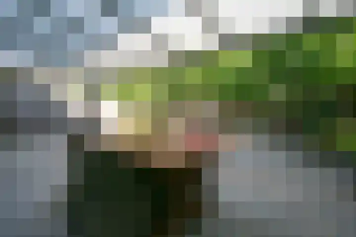 Hoppertstraat 11 Stramproy thumbnail 14