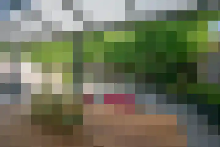Hoppertstraat 11 Stramproy thumbnail 15