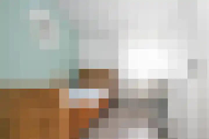 Hoppertstraat 11 Stramproy thumbnail 25