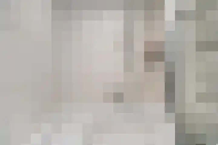 Hoppertstraat 11 Stramproy thumbnail 29