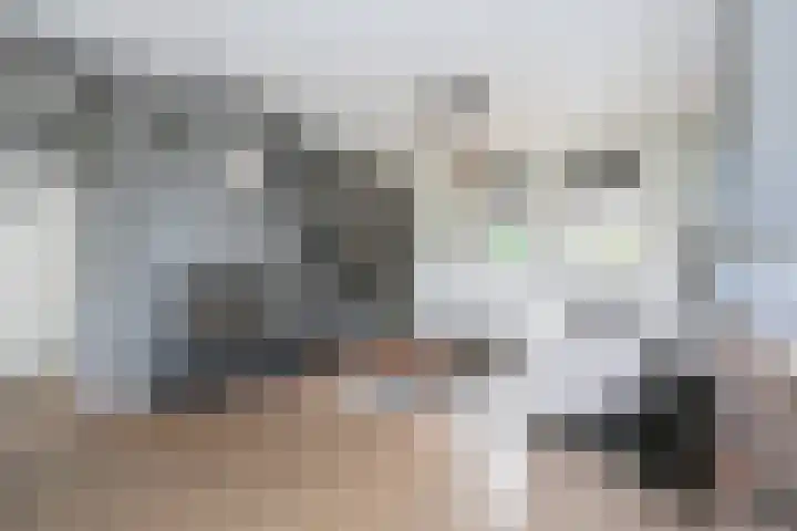 Hoppertstraat 11 Stramproy thumbnail 6