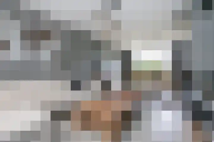 Hoppertstraat 11 Stramproy thumbnail 7