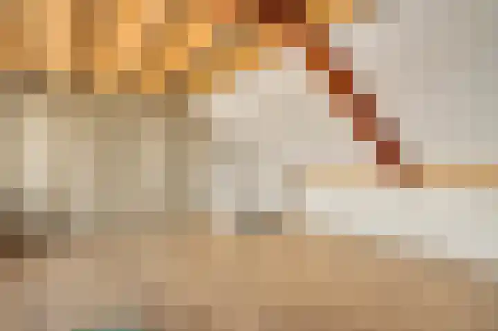 Hoppertstraat 19 Stramproy thumbnail 30