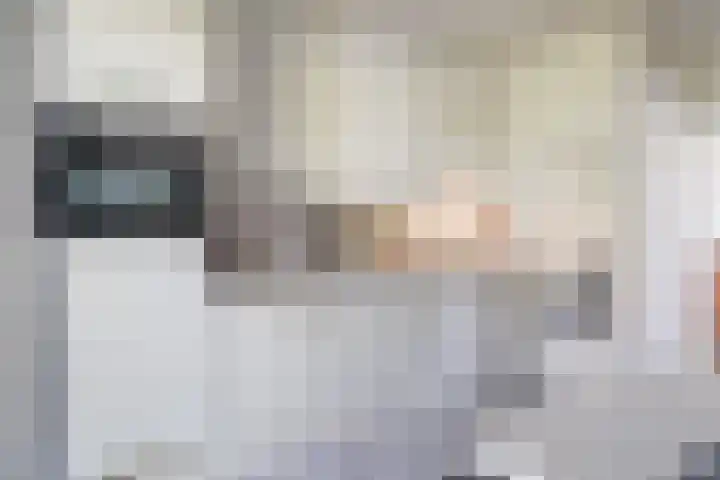 Hoppertstraat 8 Stramproy thumbnail 12