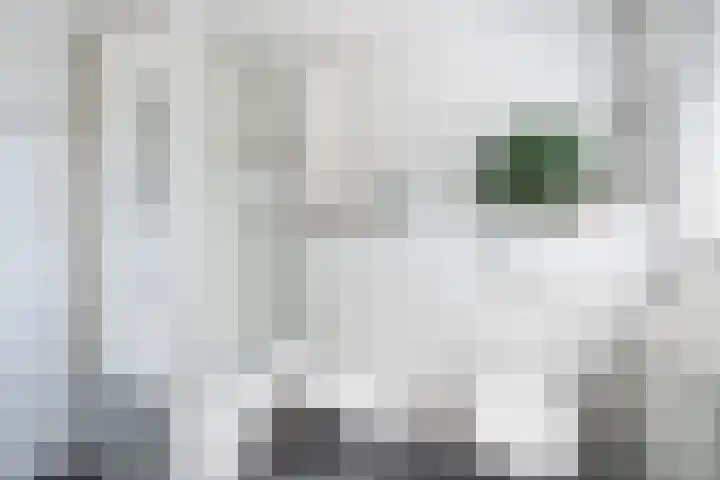 Hoppertstraat 8 Stramproy thumbnail 20