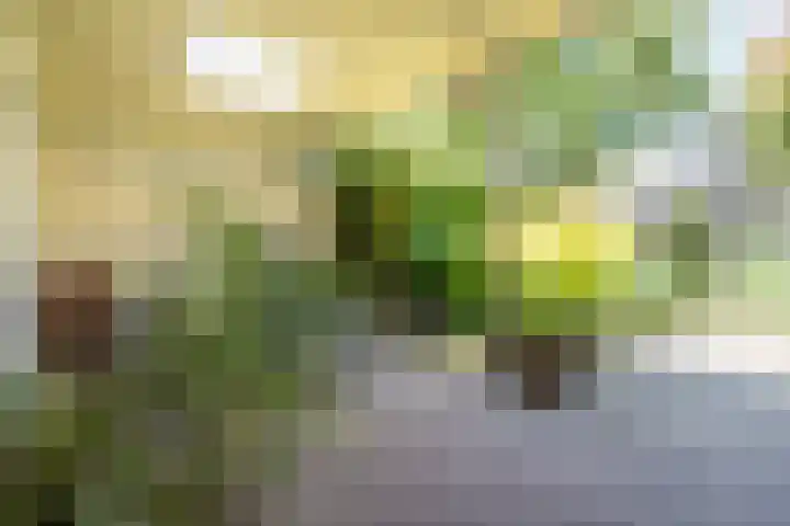 Hoppertstraat 8 Stramproy thumbnail 29
