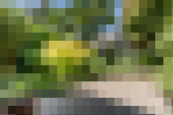 Hoppertstraat 8 Stramproy thumbnail 31