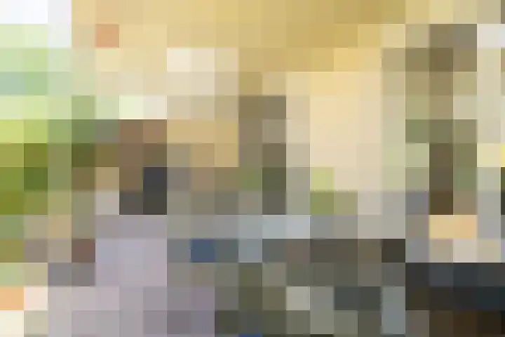 Hoppertstraat 8 Stramproy thumbnail 32