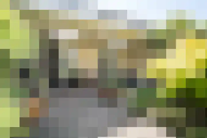 Hoppertstraat 8 Stramproy thumbnail 33