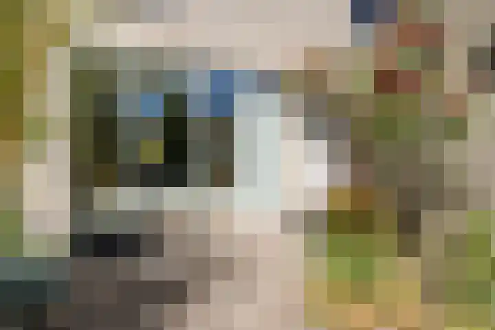 Hoppertstraat 8 Stramproy thumbnail 34