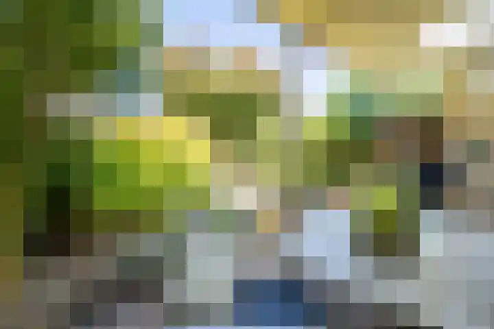 Hoppertstraat 8 Stramproy thumbnail 4