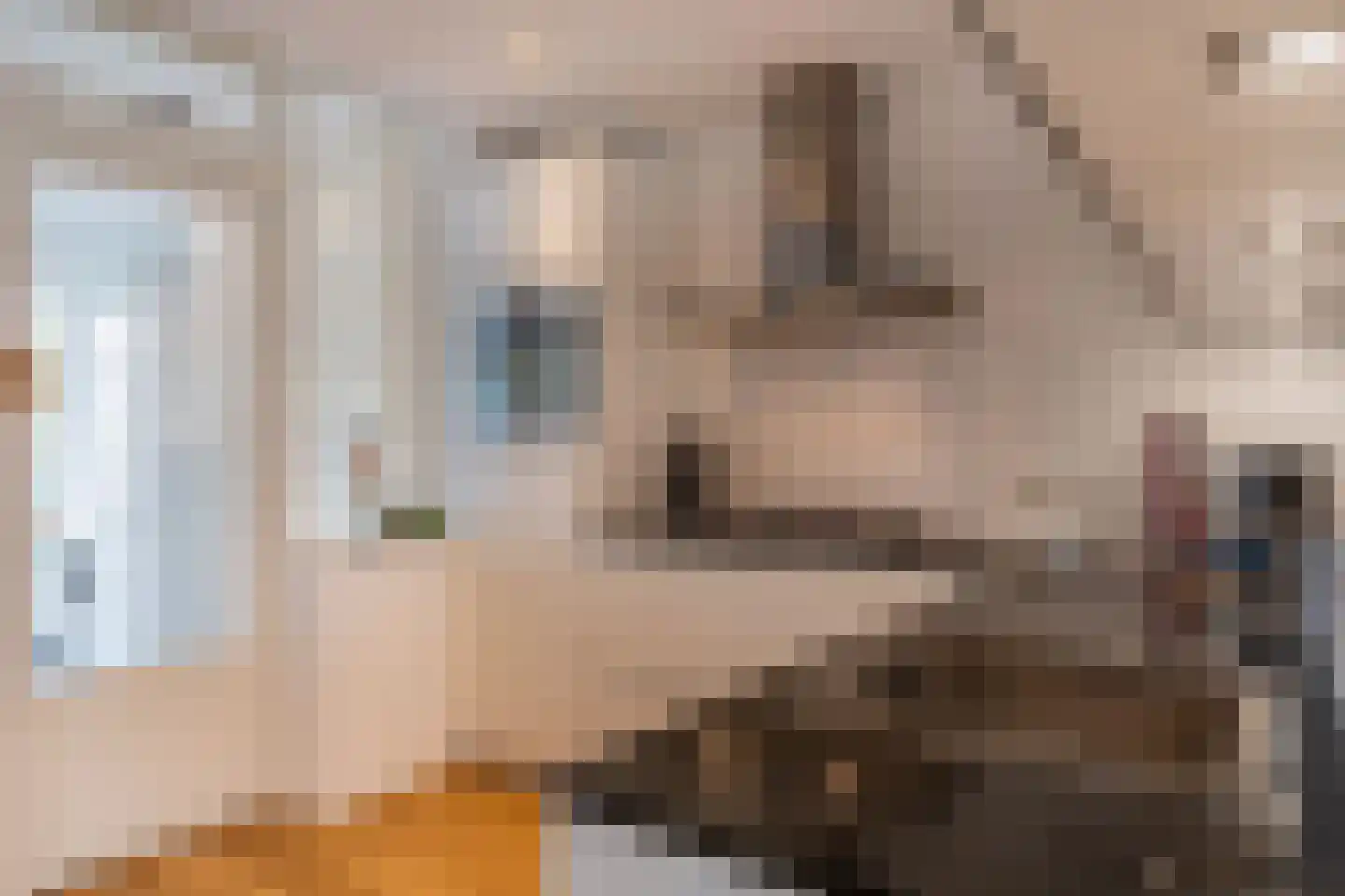 Hopperus Bumaperk 13 Drachten thumbnail 17