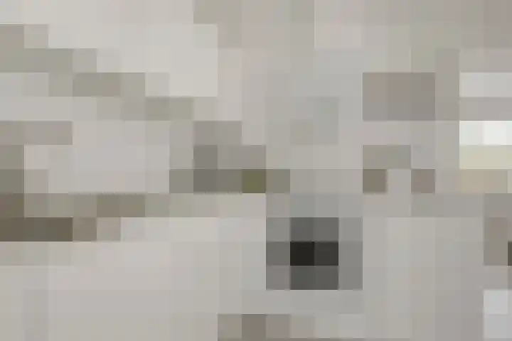 Hopperus Bumaperk 5 Drachten thumbnail 19