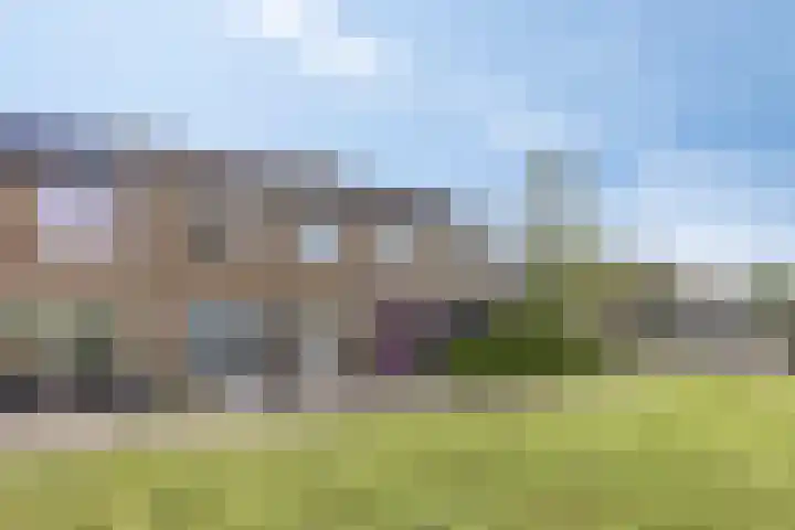 Hopperus Bumaperk 5 Drachten thumbnail 41