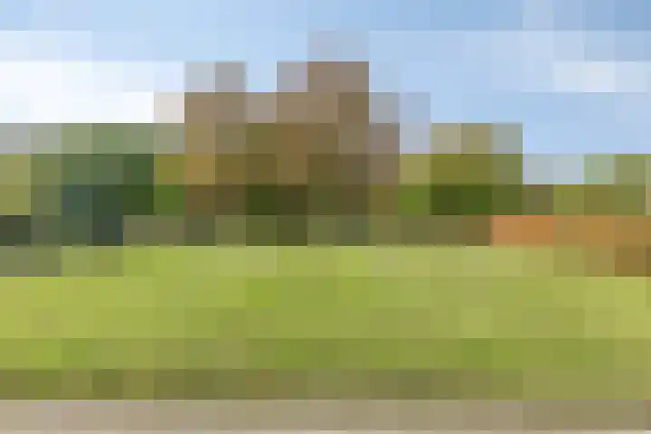 Hopperus Bumaperk 5 Drachten thumbnail 42