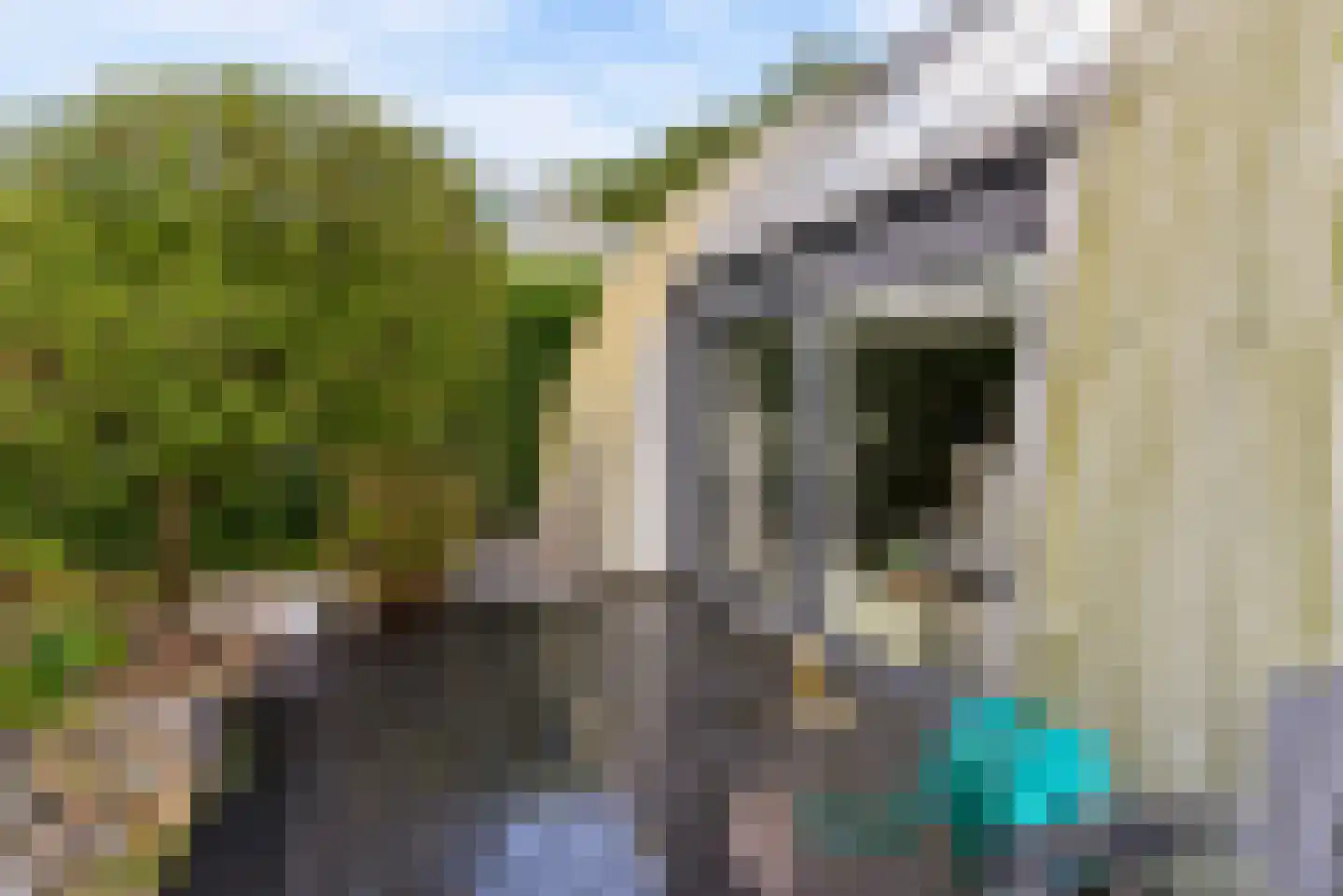 Hopperzuigerstraat 19 Almere thumbnail 37
