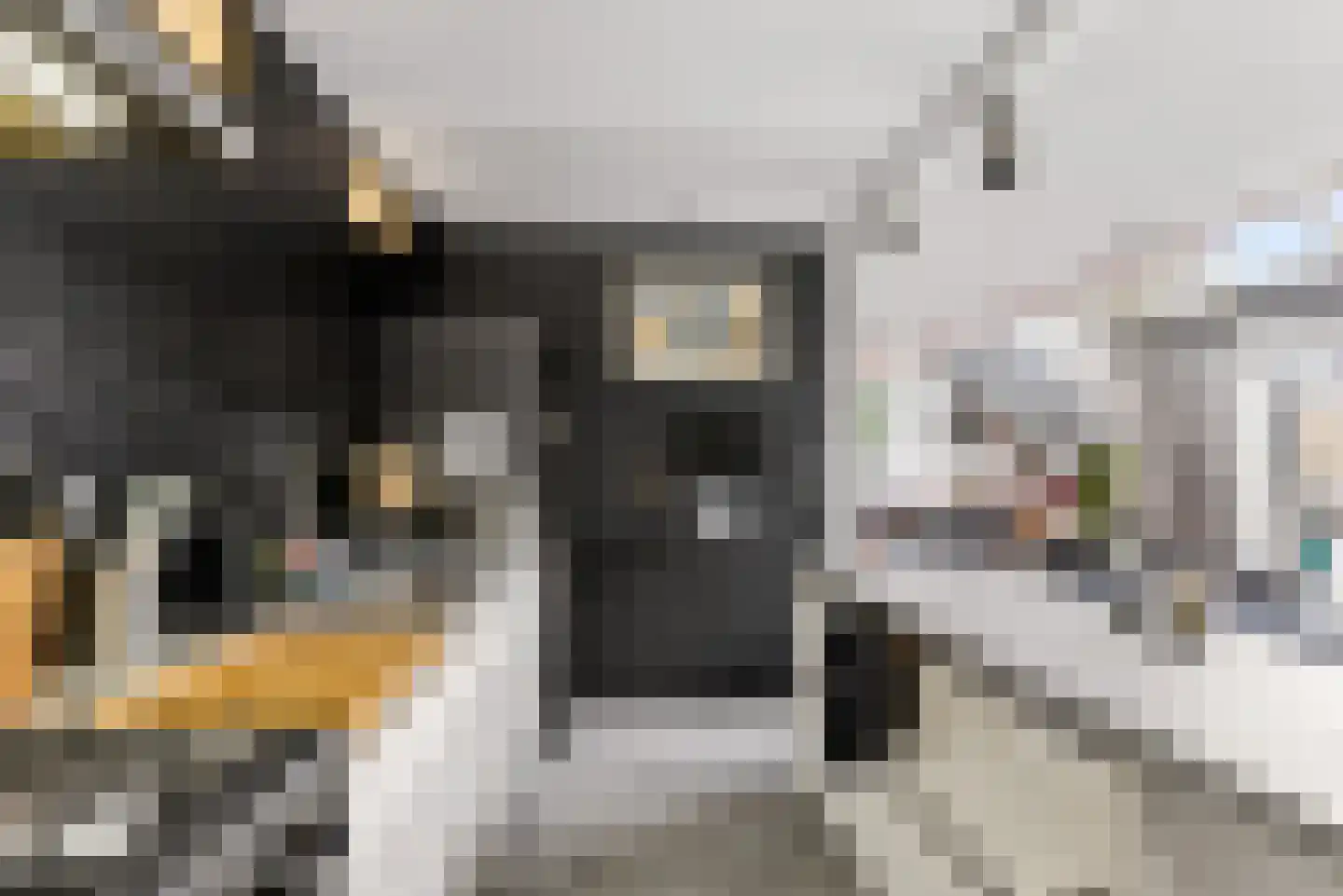 Hopperzuigerstraat 19 Almere thumbnail 41