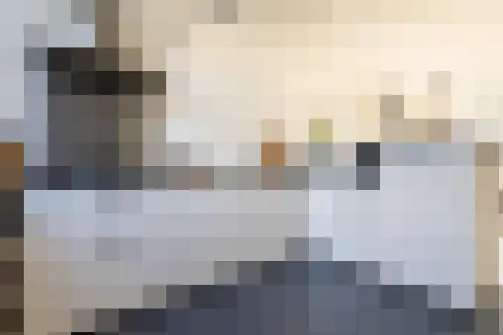 Hoppesteegde 70 Appelscha thumbnail 11