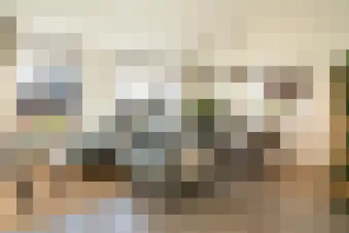 Hoppesteegde 70 Appelscha thumbnail 14