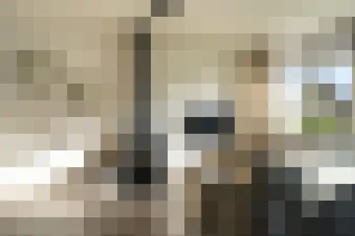 Hoppesteegde 70 Appelscha thumbnail 15