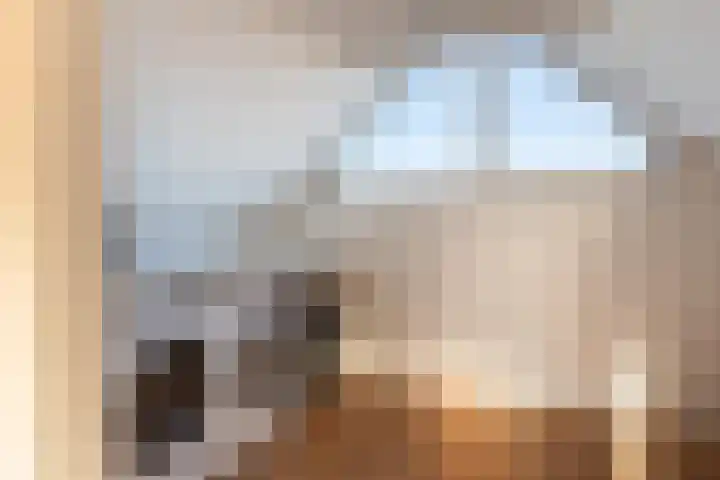Hoppesteegde 70 Appelscha thumbnail 27