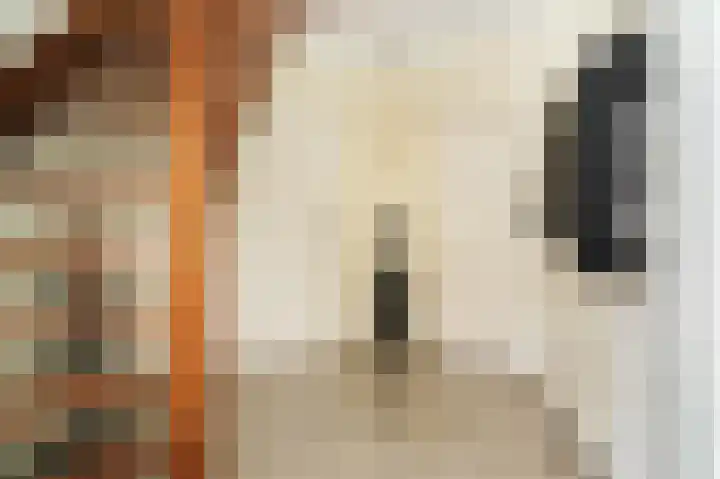 Hoprank 7 Vlijmen thumbnail 17