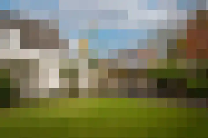 Hoprank 7 Vlijmen foto 2