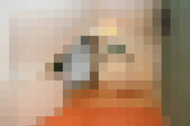 Hoprank 7 Vlijmen thumbnail 26