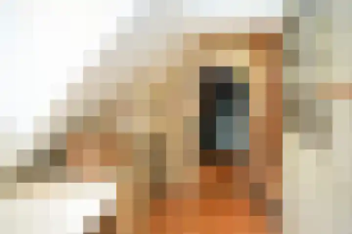 Hoprank 7 Vlijmen thumbnail 29
