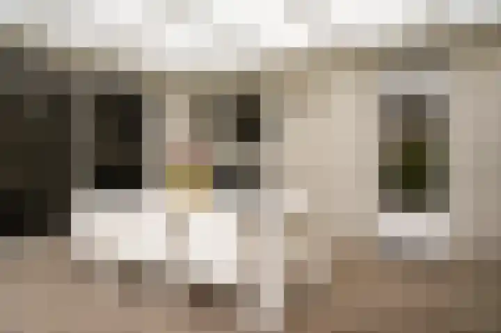 Hoprank 7 Vlijmen thumbnail 38