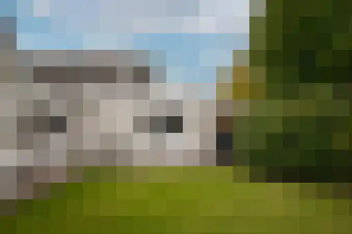 Hoprank 7 Vlijmen thumbnail 44