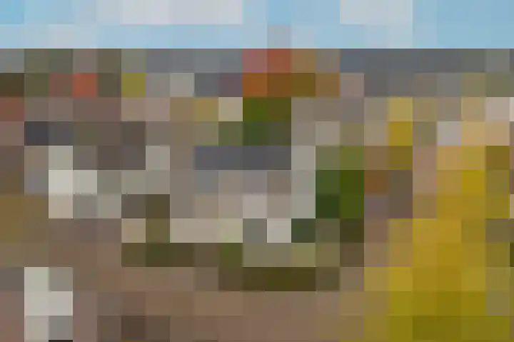 Hoprank 7 Vlijmen thumbnail 52