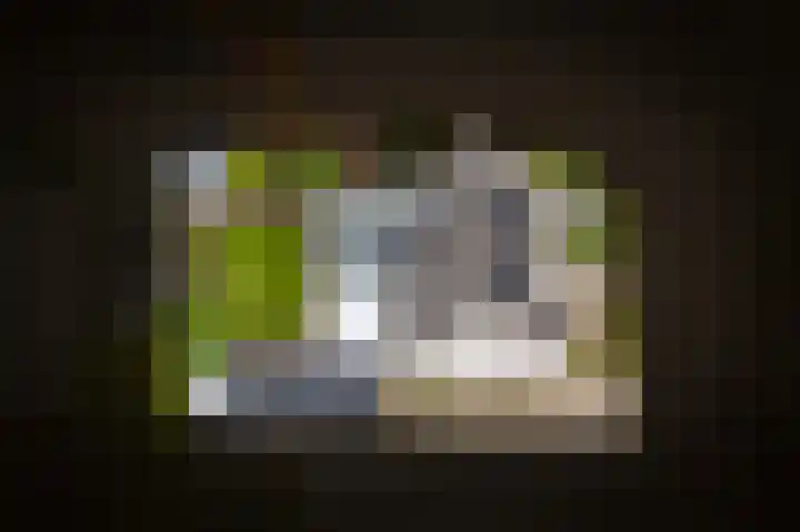 Hoprank 7 Vlijmen thumbnail 53