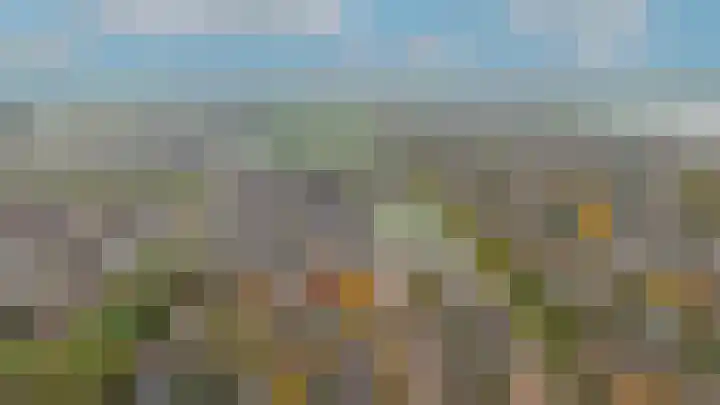 Hoprank 7 Vlijmen thumbnail 57
