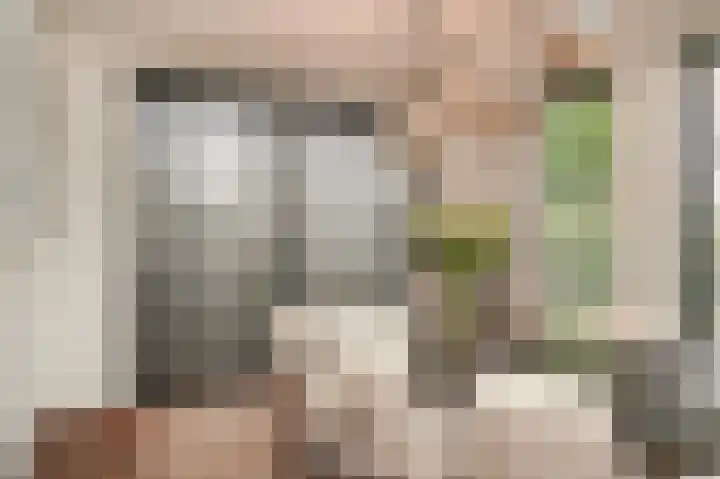 Hoprank 7 Vlijmen thumbnail 7
