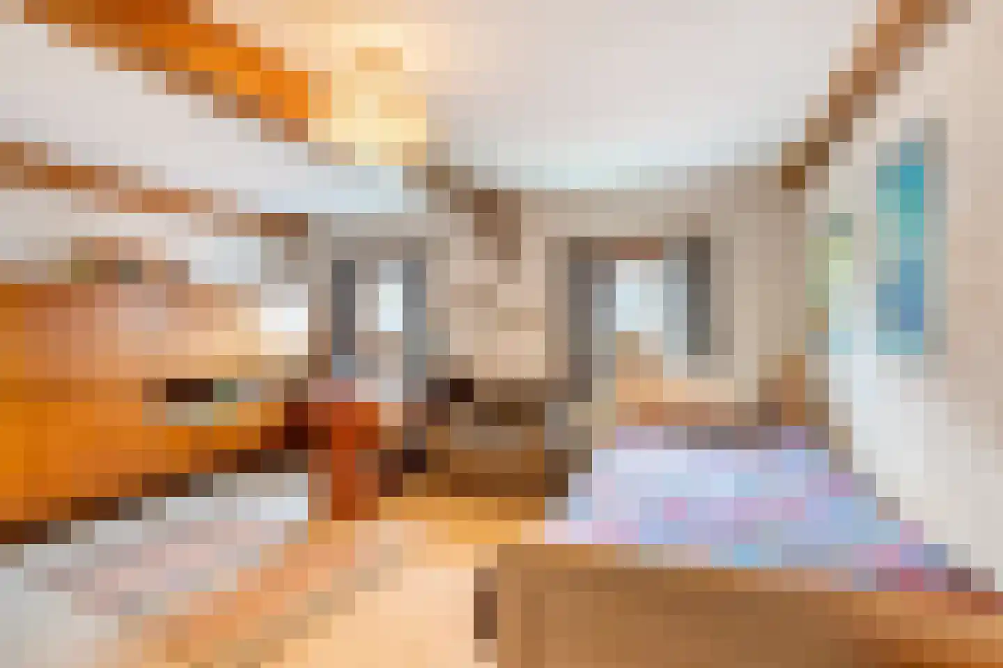 Hopschet 16 Vijlen thumbnail 13