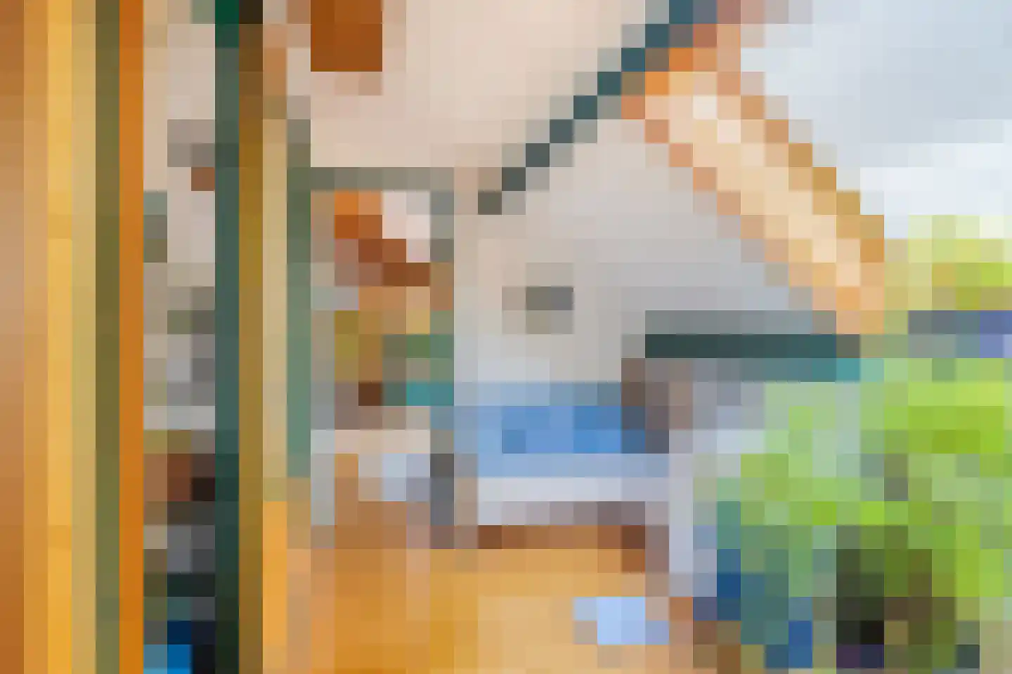 Hopschet 16 Vijlen thumbnail 19