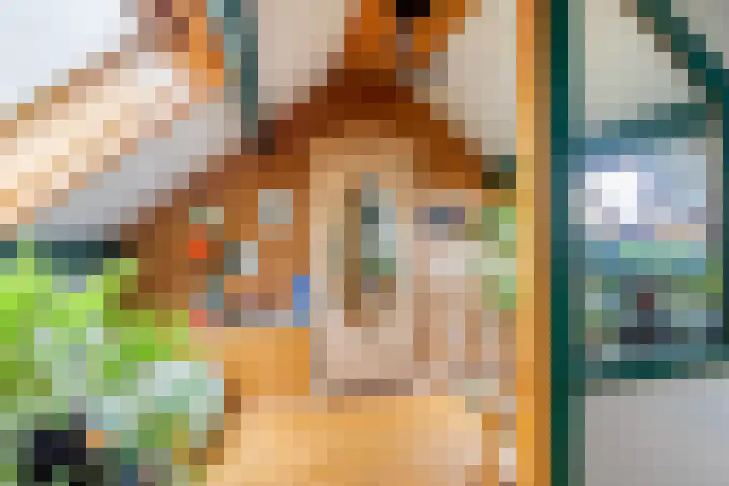 Hopschet 16 Vijlen thumbnail 20
