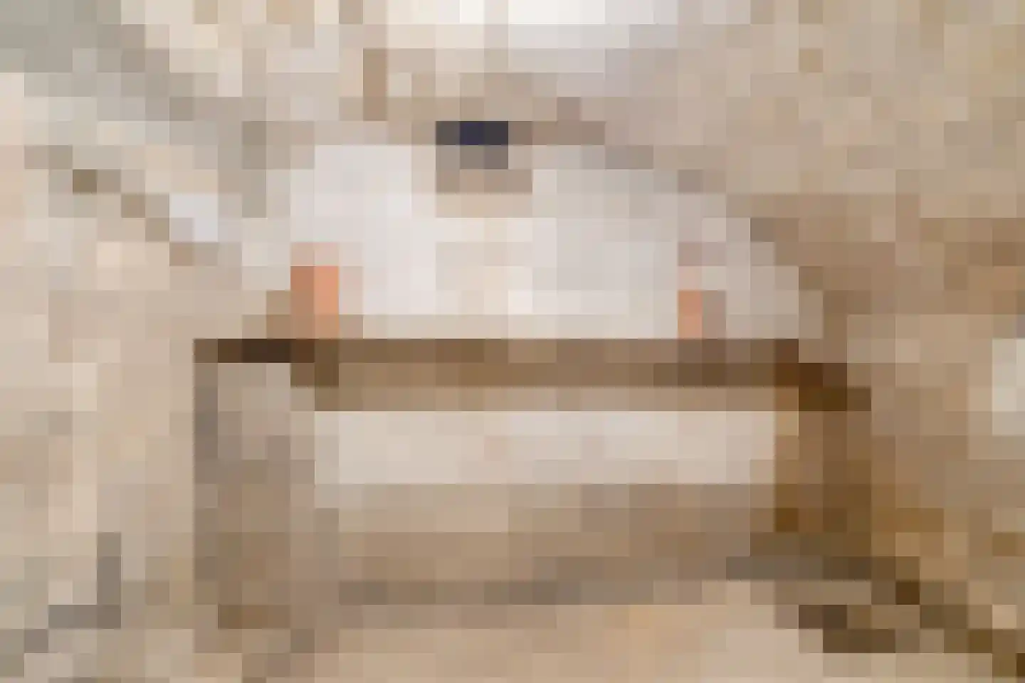 Hopschet 16 Vijlen thumbnail 24