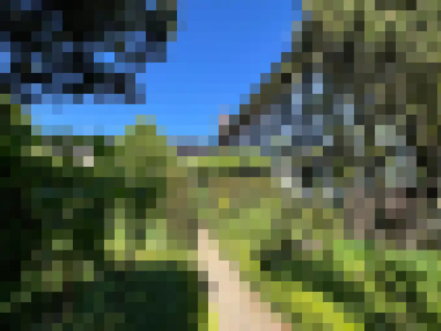 Hopschet 16 Vijlen thumbnail 26